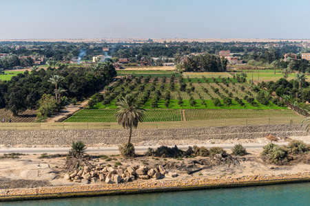 Ismailia, Egypt - November 5, 2017: Typical Suez canal landscape, farm land along the canal in Egypt, Africa.のeditorial素材