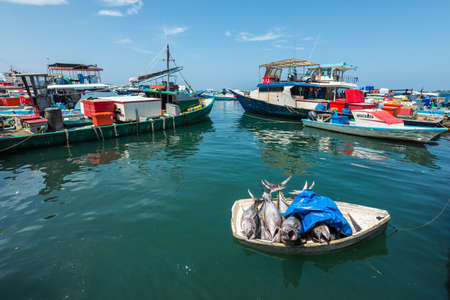 Male, Maldives - November 17, 2017: Area of fresh fish market in Male, Maldives. Tuna fresh fish in a small boat on the water for sale at fish market.のeditorial素材