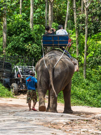 Phuket, Thailand - November 29, 2019: Elephant trekking through jungle in Phuket, Thailand.のeditorial素材