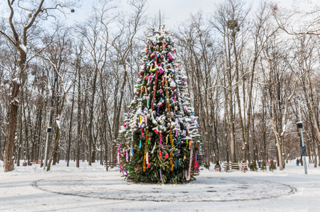 Kyiv, Ukraine - January 16, 2021: A big decorated festive Christmas (New Year) tree in winter Syretsky park in Kyiv, Ukraine.のeditorial素材