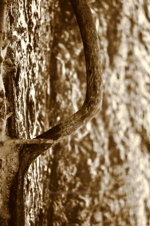 strange treeの写真素材