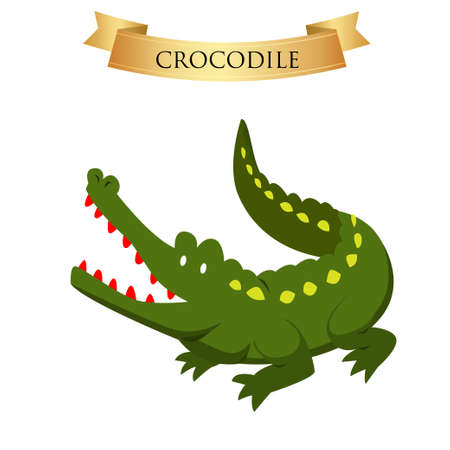 Big green crocodile on a white background. Vector illustrationのイラスト素材