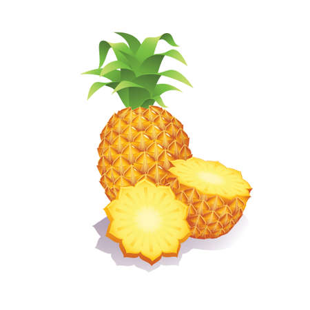 Juicy pineapple on a white background. Vector illustrationのイラスト素材
