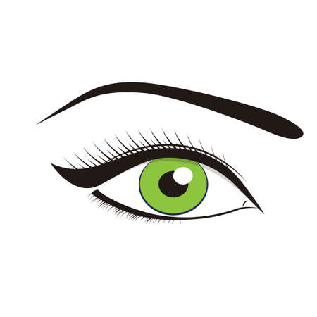 Beautiful green eyes on a white background. Vector illustrationのイラスト素材