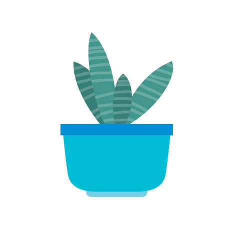 The indoor flower plant in a blue pot on a white background. Vector illustrationのイラスト素材