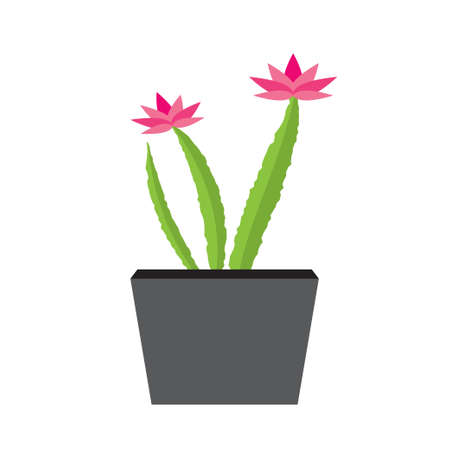 The indoor flower plant in a dark pot on white background. Vector illustrationのイラスト素材
