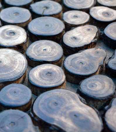 Photos in which the wooden stumpsの写真素材