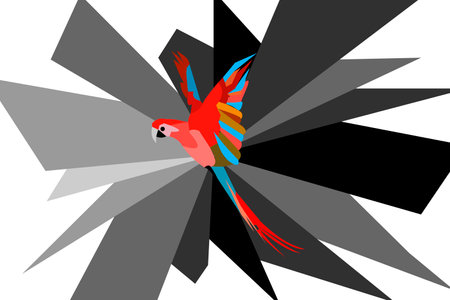 Colorful parrot in flight, design.のイラスト素材