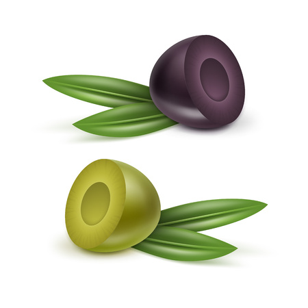 Vector Set of Black and Green Olives Branches with Leaves Isolated on White Backgroundのイラスト素材