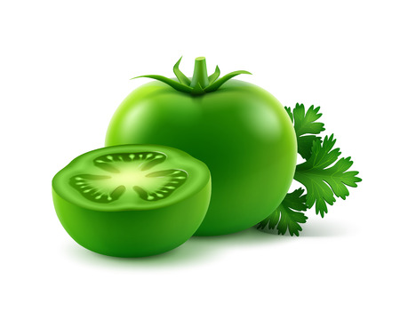 Vector Big Ripe Green Fresh Cut Whole Tomatoes with parsley Close up Isolated on White Backgroundのイラスト素材