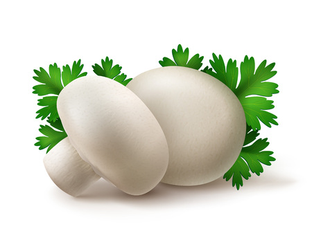 Vector Heap of Fresh Whole White Portabello Agaricus  Champignons Mushrooms with Green Parsley Leaves Close up Isolated on White Backgroundのイラスト素材