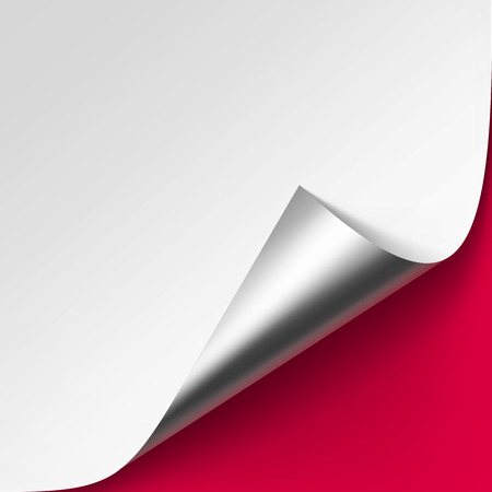 Vector Curled Metalic Silver corner of White paper with shadow Mock up Close up Isolated on Red Backgroundのイラスト素材