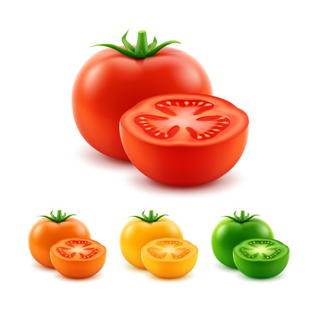 Vector Set of Big Ripe Red Prange Yellow Green Fresh Cut Whole Tomatoes Close up Isolated on White Backgroundのイラスト素材
