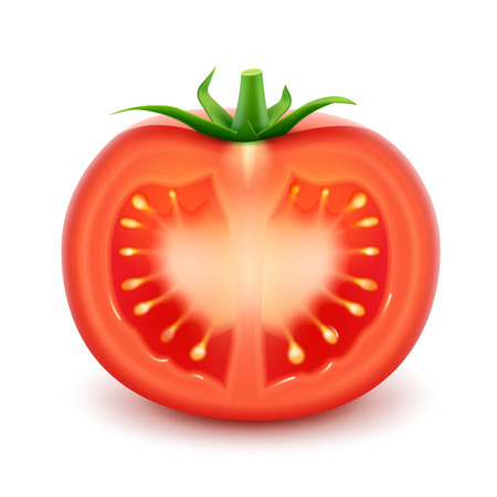Vector Big Ripe Red Fresh Cut Tomato Isolated on White Backgroundの写真素材