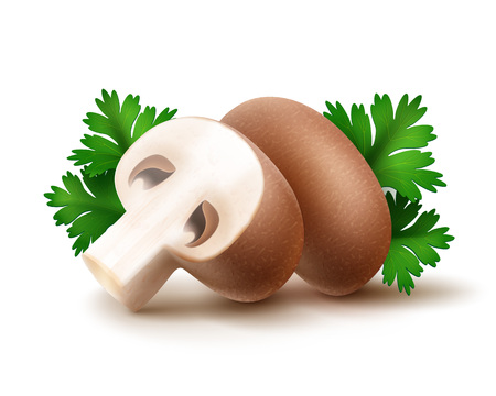 Vector Heap of Fresh Whole and Sliced Half Brown Portabello Agaricus  Champignons Mushrooms with Green Parsley Leaves Close up Isolated on White Backgroundのイラスト素材