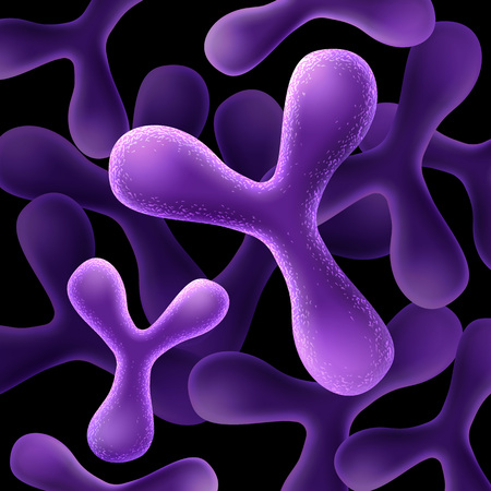 Lactobacillus bifidus bacteria illustration on black background.