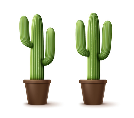 Vector illustration of cordon cactus or pachycereus pringlei, houseplants in pot isolated on white backgroundのイラスト素材