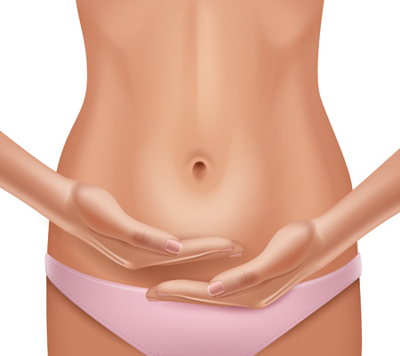 Vector illustration of womans hands showing belly isolated on white background. Woman health conceptのイラスト素材