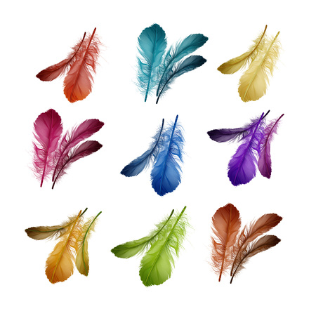 Vector illustration of colorful soft fluffy bird feathers set isolated on white backgroundのイラスト素材