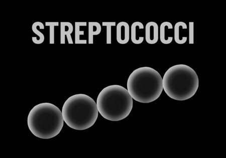 Streptococci bacteria monochrome vector illustration on black background. Virus concept
