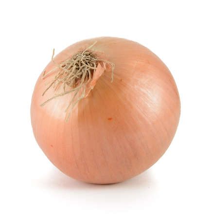 Single yellow onion on white background.の写真素材