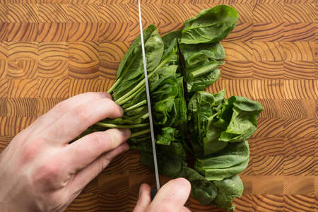 Someone's hand cutting a bunch of spinach.の写真素材