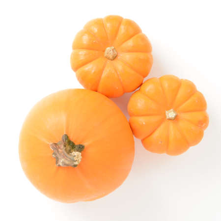 Three pumpkins isolated on white and viewed from aboveの写真素材