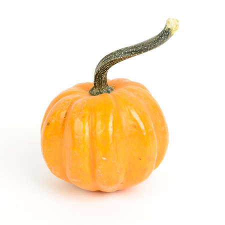 A mini orange pumpkin isolated on whiteの写真素材