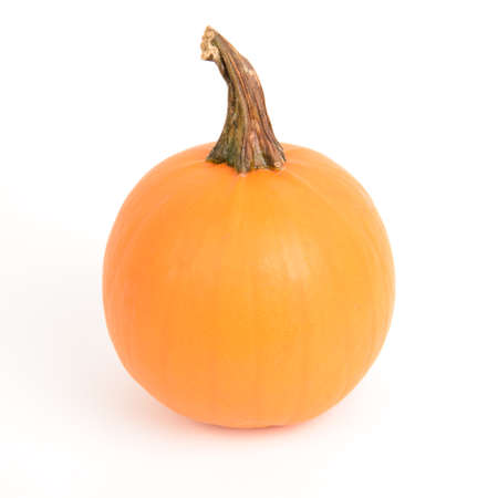 A small orange pumpkin isolated on whiteの写真素材