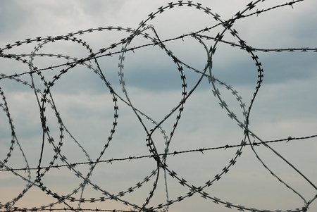 Barbed wire