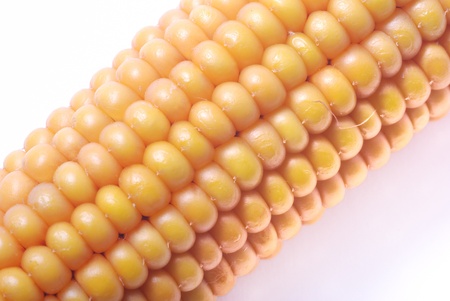 An ear of ripe corn