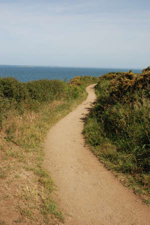 A path in summerの写真素材