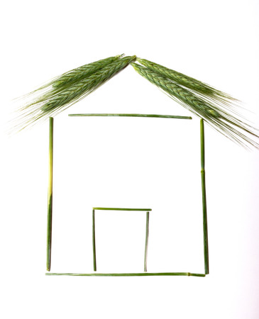 House made with barleyの写真素材
