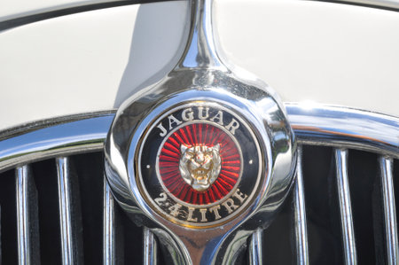 PLERIN,31 AUGUST, 2014: Jaguarのeditorial素材