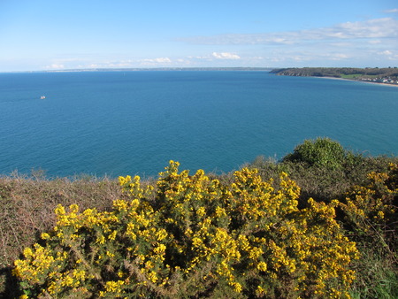 The Brittany coast in Pordicの写真素材