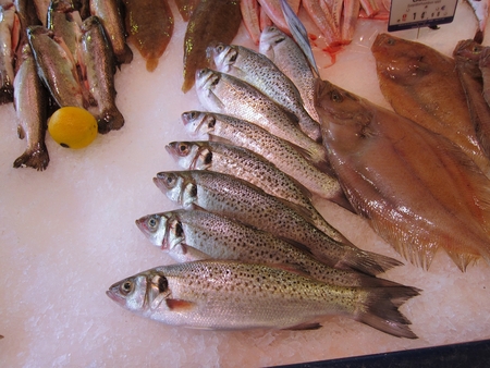 fish on market
