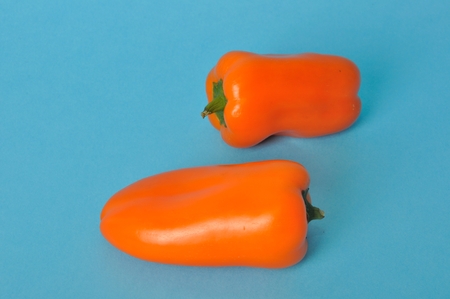 Orange pepper on blue bacgroundの写真素材