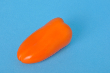 Orange pepper on blue backgroundの写真素材