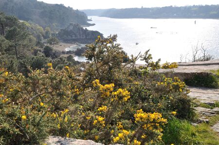 The Brittany coast in Loguivyの写真素材