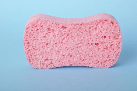 sponge on blue backgroundの写真素材