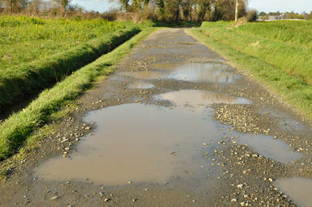 A flooded country lane in Brittanyの写真素材