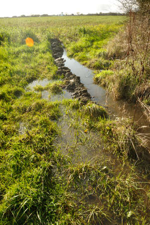 A flooded field in Brittanyの写真素材