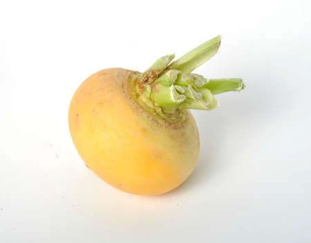 Young turnips on a white background