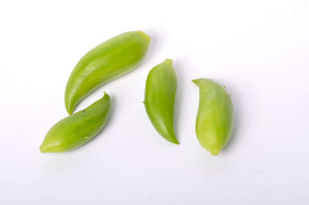 Achocha on a white backgroundの写真素材