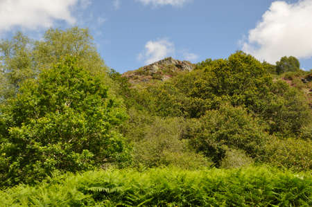 Landes de Liscuis at Bon Repos on Blavet in Brittanyの写真素材