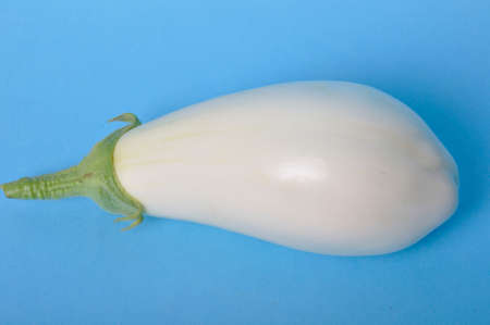 White eggplant on a blue backgroundの写真素材