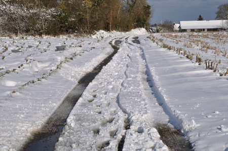 Path under the snow in Brittanyの写真素材
