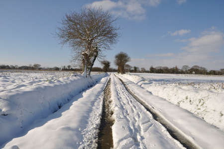 Path under the snow in Brittanyの写真素材