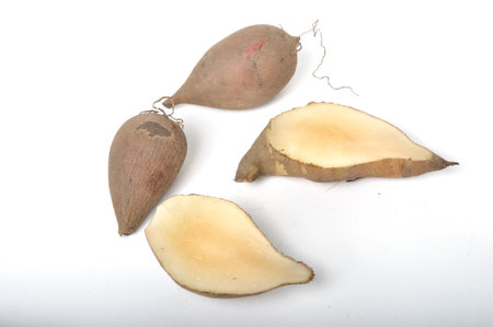 Yacon roots on a white backgroundの写真素材