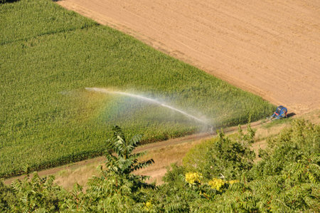 Water sprinkler installation in a field of maize, aerial viewの写真素材